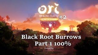 Black Root Burrows Part 1 | Ori and the Blind Forest Definitive Edition 100% Walkthrough #2