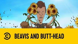 Tobacco Farm | Beavis and Butt-Head