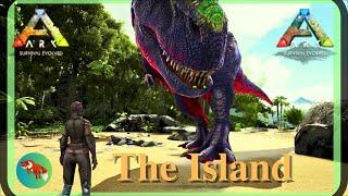 Dangerous Tame! - ARK Survival Evolved - SOLO - The Island 2024 (EP7)