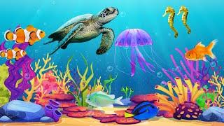  Under the Sea Baby Sensory | Relaxing Ocean Scenes & Gentle Piano Music
