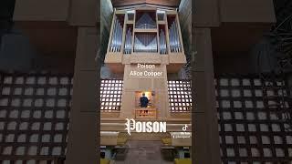 Poison - Alice Cooper - Orgel - Alexander Uhl