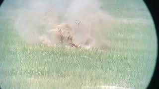 Prairie Dog Hunting with 338 Lapua