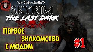 SKYRIM SE The Last Dark  Прохождение #1  ПЕРВОЕ ЗНАКОМСТВО С МОДОМ