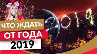 Что ждать от года 2019? Прогноз и рекомендации | Школа начинающего нумеролога