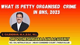 What is petty organised  crime   in BNS, 2023