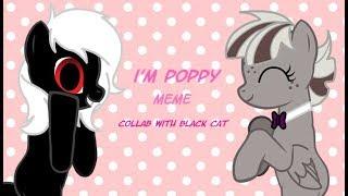 |MEME| I'm poppy |Collab with Black KOT|