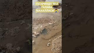 ГАГАРИН ГАЛАБА МАХАЛЛАСИ МУАММОЛАР КАЧОН ТУГАЙДИ