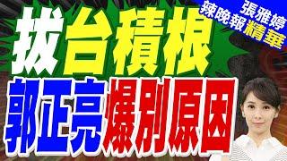 苑舉正:這已經成為次殖民地 直接用送｜郭正亮來算帳 台積電加碼投資美國 台灣剩多少?｜拔台積根 郭正亮爆別原因【張雅婷辣晚報】精華版 ‪@中天新聞CtiNews