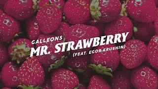 Galleons - Mr. Strawberry (feat. Egor Erushin)