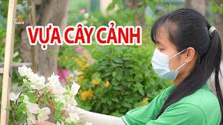 Học Viện Nông Nghiệp Việt Nam Nơi Mua Cây Ăn Quả - Cây Hoa Uy Tín #hnp