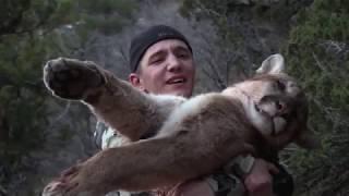 Archery Mountain Lion hunt with Pine Valley Outfitters