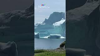 Incredible video shows iceberg calving in Newfoundland