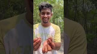 Sundarban Giye Ami Bagh Dekhlam Mini Vlog#shorts #minivlog