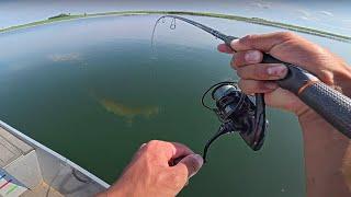 Hunting Down BIG Weed Walleyes! (Tips & Tactics)