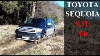 Toyota Sequoia | Обзор