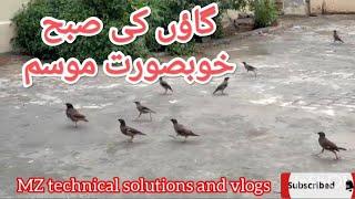 گاؤں کی صبح |  village morning time | vlogs | MZ technical solutions | birds sound  | beautiful