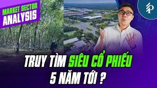 Chuyển đổi đất trồng cao su sang KCN – Triển vọng đầy hứa hẹn trong 5 năm tới