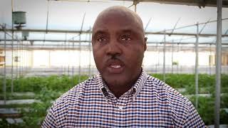 Support the Arkansas Gleaning Project
