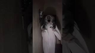 Hallway from hell #horror #horrorstories #ghost #scary #spooky #creepy #spooky #jumpscare #demon