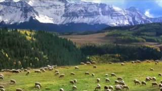 Psalm 23.  Pan jest Pasterzem moim...