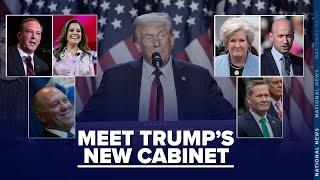 President Elect Donald Trump's top cabinet picks