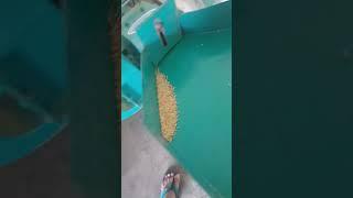 Coriander powder(Dhaniya Powder) Pure Good for Health