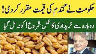 Wheat price in Pakistan Punjab