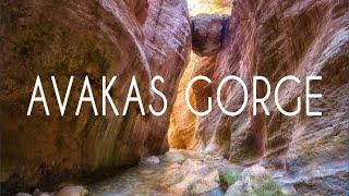 Avakas Gorge | The Best Nature Trail in Cyprus