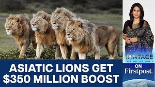 Why India Has Invested $350 Million to Protect Asiatic Lions | Vantage with Palki Sharma | N18L