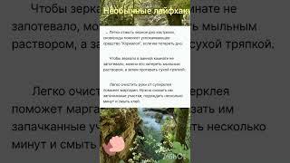 #лайфхаки#советы#полезныесоветы#дача#кухня#идея#находки