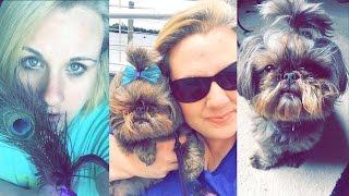  A Mid-Week Vlog by Az4Angela 