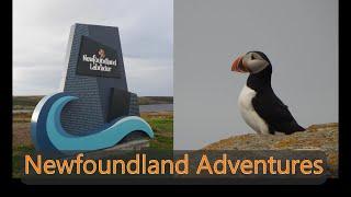 Unforgettable Adventures in Newfoundland 2023 - pt 1