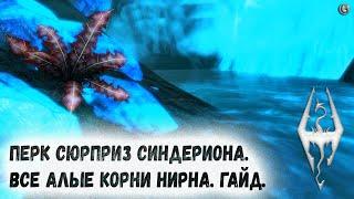 Skyrim 69 Лучший алхимик Древних свитков и Алые корни нирна Гайд Ценный перк Сюрприз Синдериона