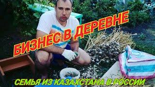 БИЗНЕС В ДЕРЕВНЕ/ДЕРЕВЕНСКИЕ БУДНИ/ПРОСТАЯ ЖИЗНЬ