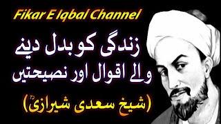 Sheikh Saadi Shirazi | Quotes | Aqwal | Biography | In Hindi Urdu