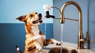 Auto-Spring Automatic Water System for Cats and Dogs | www.MarketNet.gr