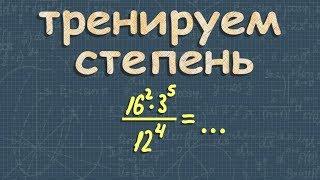 СТЕПЕНЬ С ЦЕЛЫМ ПОКАЗАТЕЛЕМ | алгебра 7 | ПОКАЗАТЕЛЬ СТЕПЕНИ | свойства степеней