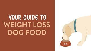 Your Guide to Weight Loss Dog Food | Earthborn Holistic Pet Food