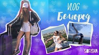 VLOG | Белгород