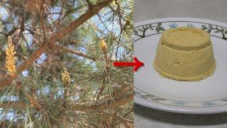 How to make 'Dasik' with Pine Pollen, traditional Korean pressed cookie