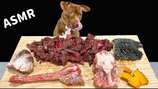 BEST ASMR MUKBANG PITBULL EATING RAW FOODS