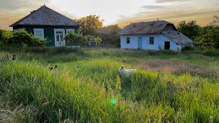 Молдавское село Тырново, 18.06.2023