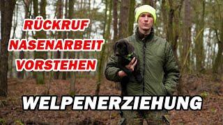 Welpenerziehung und Jagdhundeausbildung | Ein ganz normaler Tag