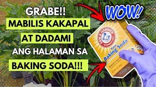 BAKING SODA LANG PALA ANG KATAPAT NG HALAMAN MO! AMAZING USE OF BAKING SODA!