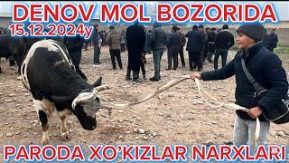 DENOV MOL BOZORIDAGI NARXLAR 15.12.2024y #chorva #olami #surxondaryo #surxon #obzor