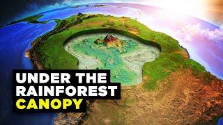 What's Hidden Under the Trees of the Amazon Rainforest?