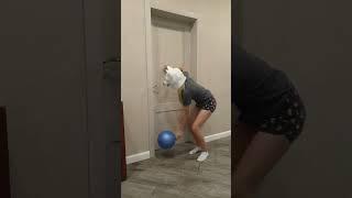 Best funny videos prank by Tanya, Senya and Misha 138 - dogs and balloon #shorts