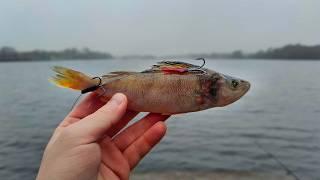 I found HUGE Pike In This Mysterious Lake! - PIKE DEADBAITING