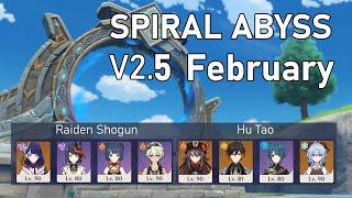 v2.4 Spiral Abyss | Hu Tao & Raiden Shogun [February, second rotation]