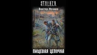 S.T.A.L.K.E.R. Пищевая цепочка - Часть вторая. Виктор Ночкин #аудиокнига #сталкер